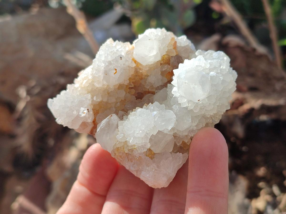 Natural White Spirit Quartz Clusters x 12 From Boekenhouthoek, South Africa - Toprock Gemstones and Minerals 