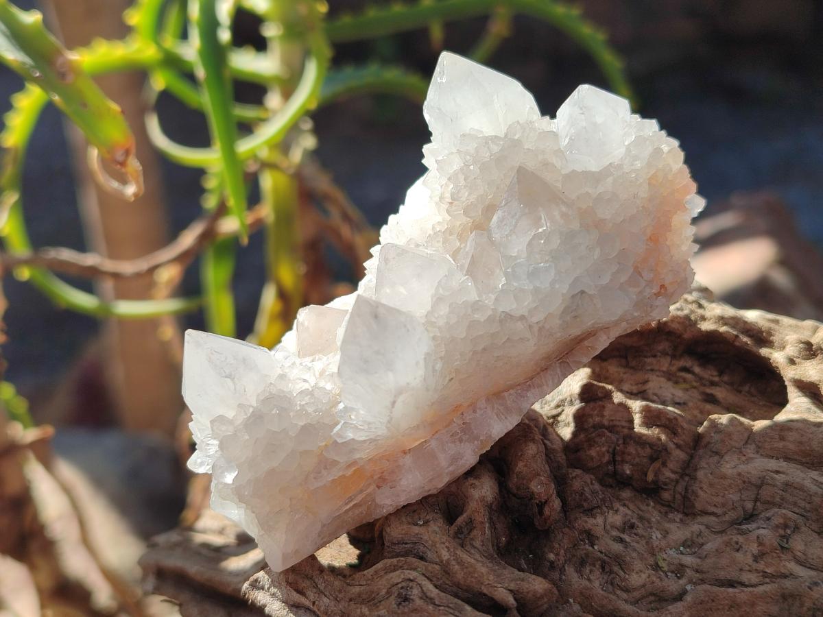 Natural White Spirit Quartz Clusters x 12 From Boekenhouthoek, South Africa - Toprock Gemstones and Minerals 