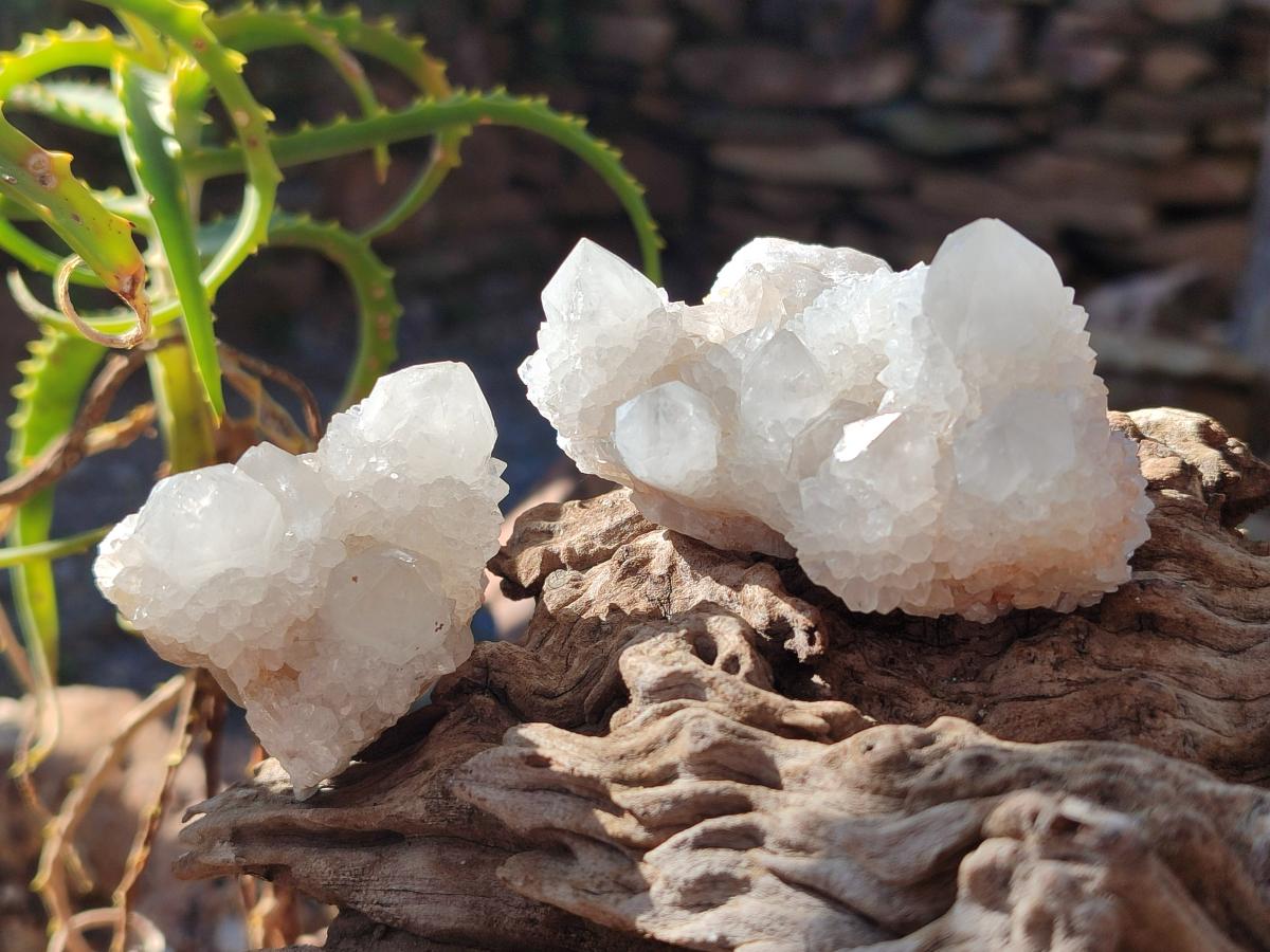 Natural White Spirit Quartz Clusters x 12 From Boekenhouthoek, South Africa - Toprock Gemstones and Minerals 