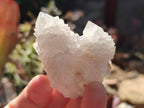 Natural White Spirit Quartz Clusters x 12 From Boekenhouthoek, South Africa - Toprock Gemstones and Minerals 