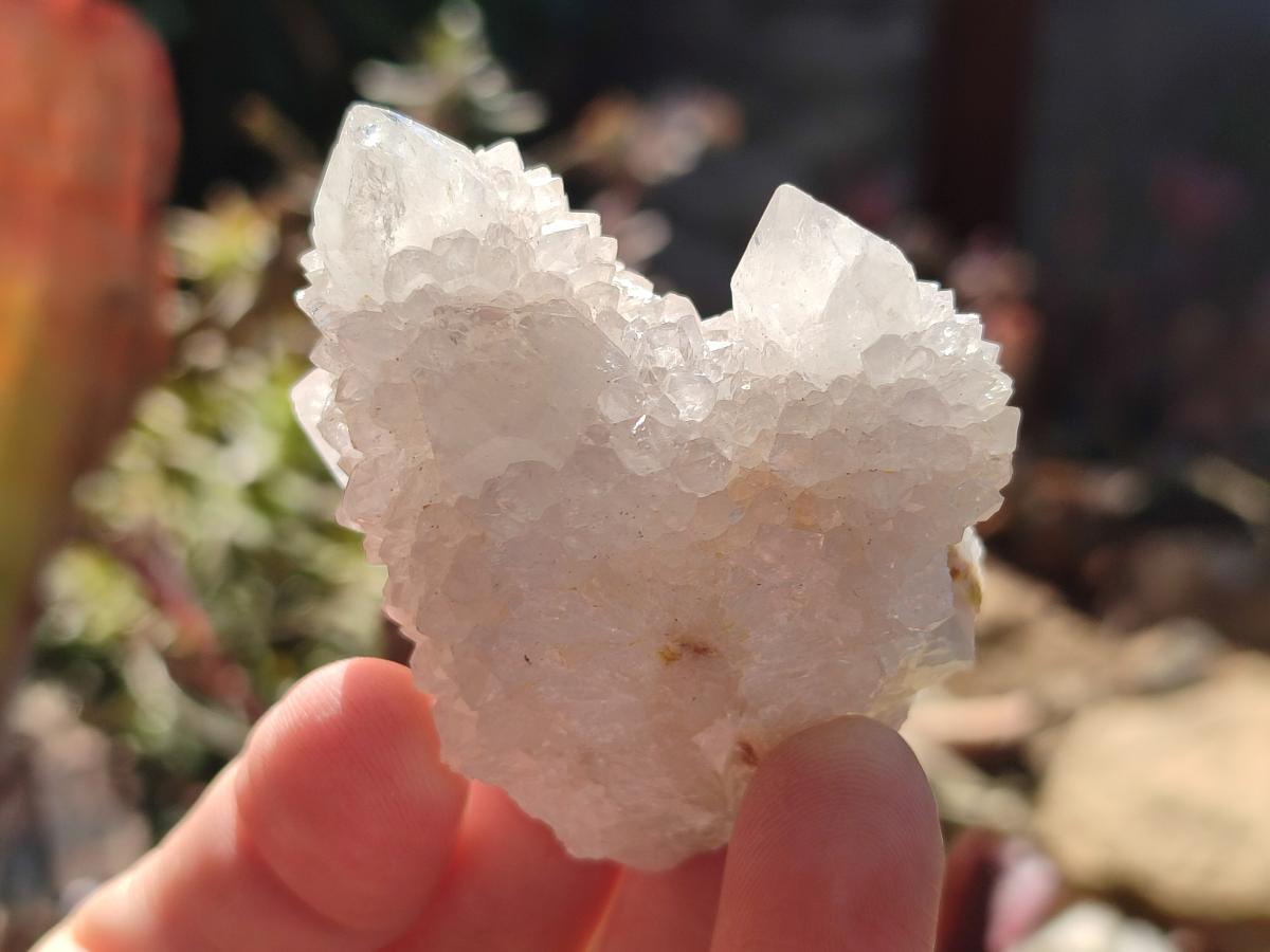 Natural White Spirit Quartz Clusters x 12 From Boekenhouthoek, South Africa - Toprock Gemstones and Minerals 