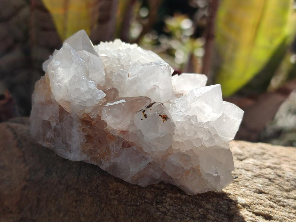 Natural White Spirit Quartz Clusters x 12 From Boekenhouthoek, South Africa - Toprock Gemstones and Minerals 