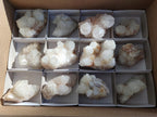 Natural White Spirit Quartz Clusters x 12 From Boekenhouthoek, South Africa - Toprock Gemstones and Minerals 