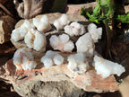 Natural White Spirit Quartz Clusters x 12 From Boekenhouthoek, South Africa - Toprock Gemstones and Minerals 