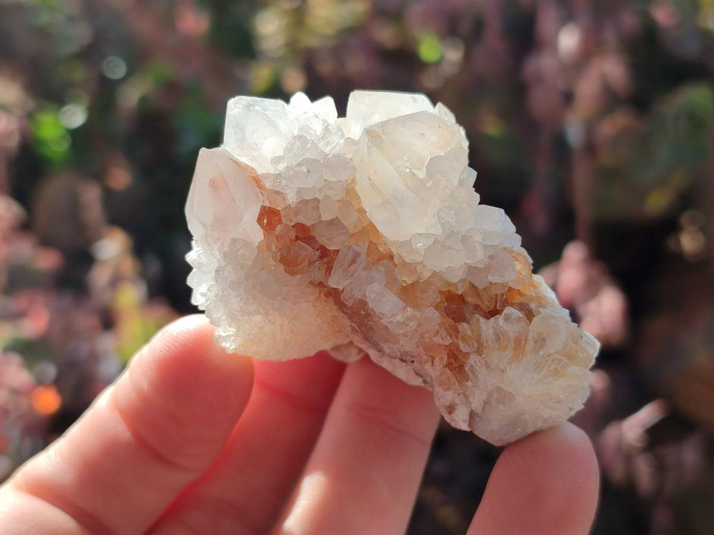 Natural White Spirit Quartz Clusters x 12 From Boekenhouthoek, South Africa - Toprock Gemstones and Minerals 