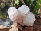 Natural White Spirit Quartz Clusters x 12 From Boekenhouthoek, South Africa - Toprock Gemstones and Minerals 