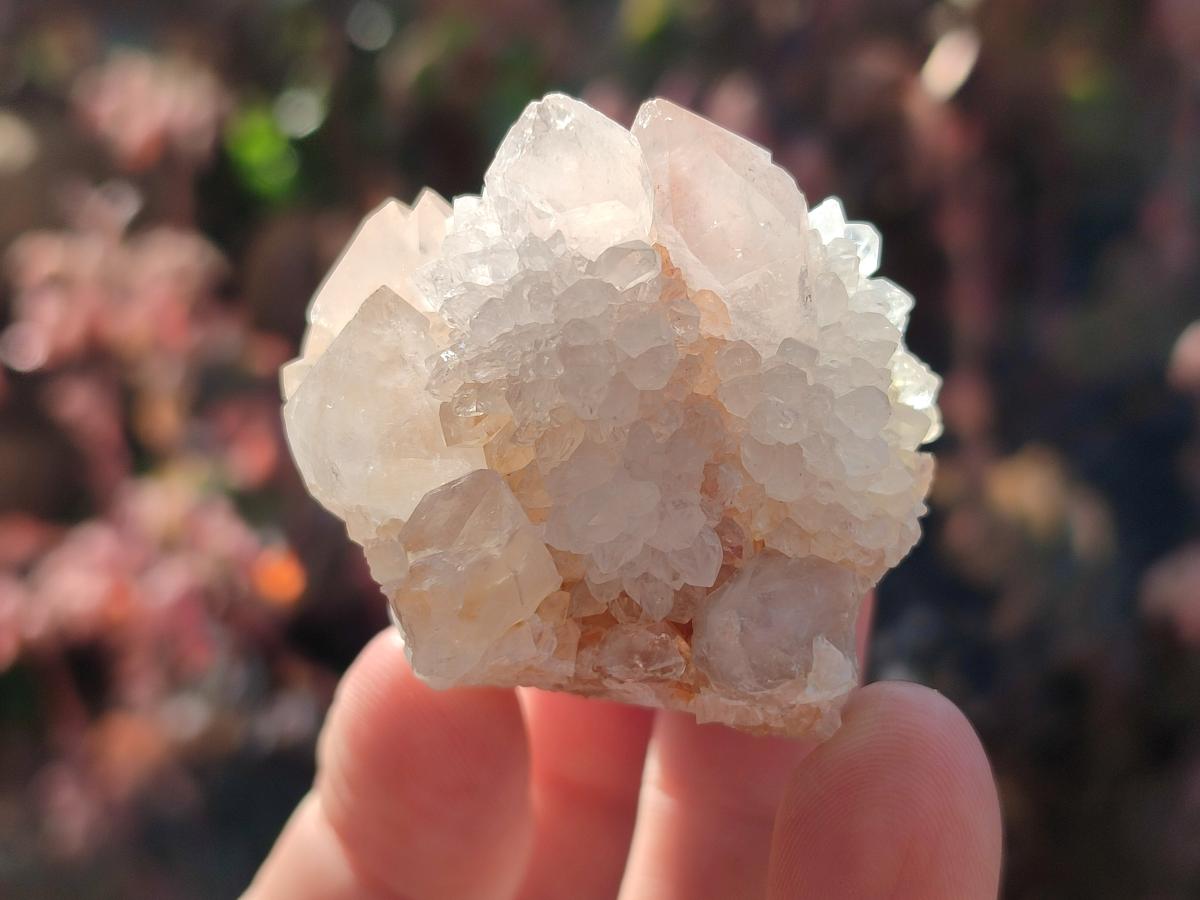 Natural White Spirit Quartz Clusters x 12 From Boekenhouthoek, South Africa - Toprock Gemstones and Minerals 