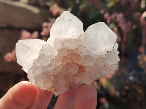 Natural White Spirit Quartz Clusters x 12 From Boekenhouthoek, South Africa - Toprock Gemstones and Minerals 