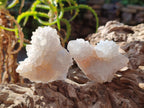 Natural White Spirit Quartz Clusters x 12 From Boekenhouthoek, South Africa - Toprock Gemstones and Minerals 
