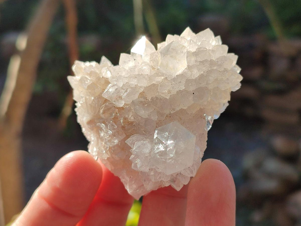 Natural White Spirit Quartz Clusters x 12 From Boekenhouthoek, South Africa - Toprock Gemstones and Minerals 