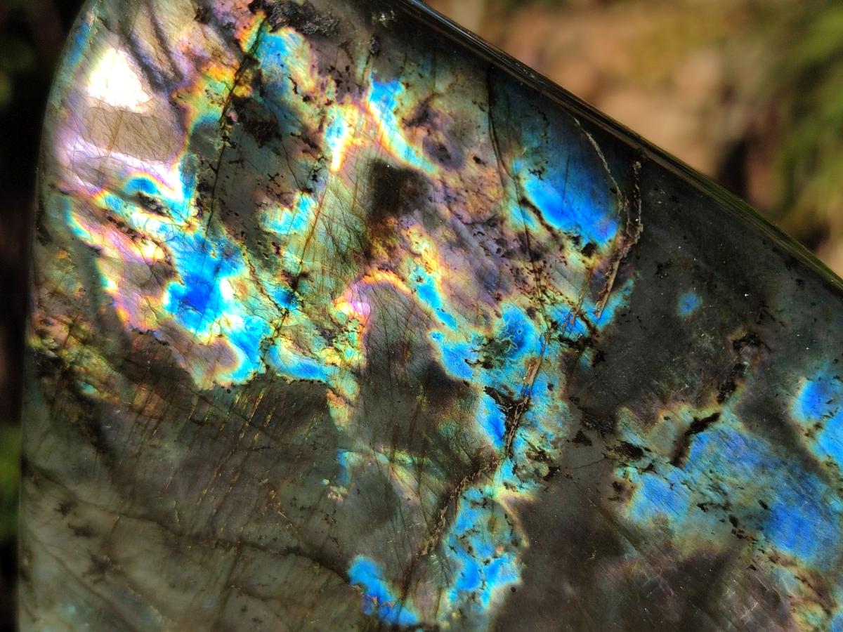 Polished Labradorite Standing Display Pieces x 3 From Madagascar - Toprock Gemstones and Minerals 