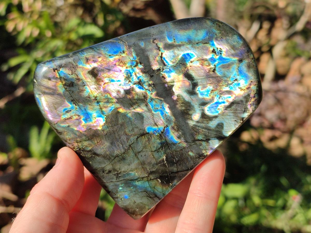 Polished Labradorite Standing Display Pieces x 3 From Madagascar - Toprock Gemstones and Minerals 