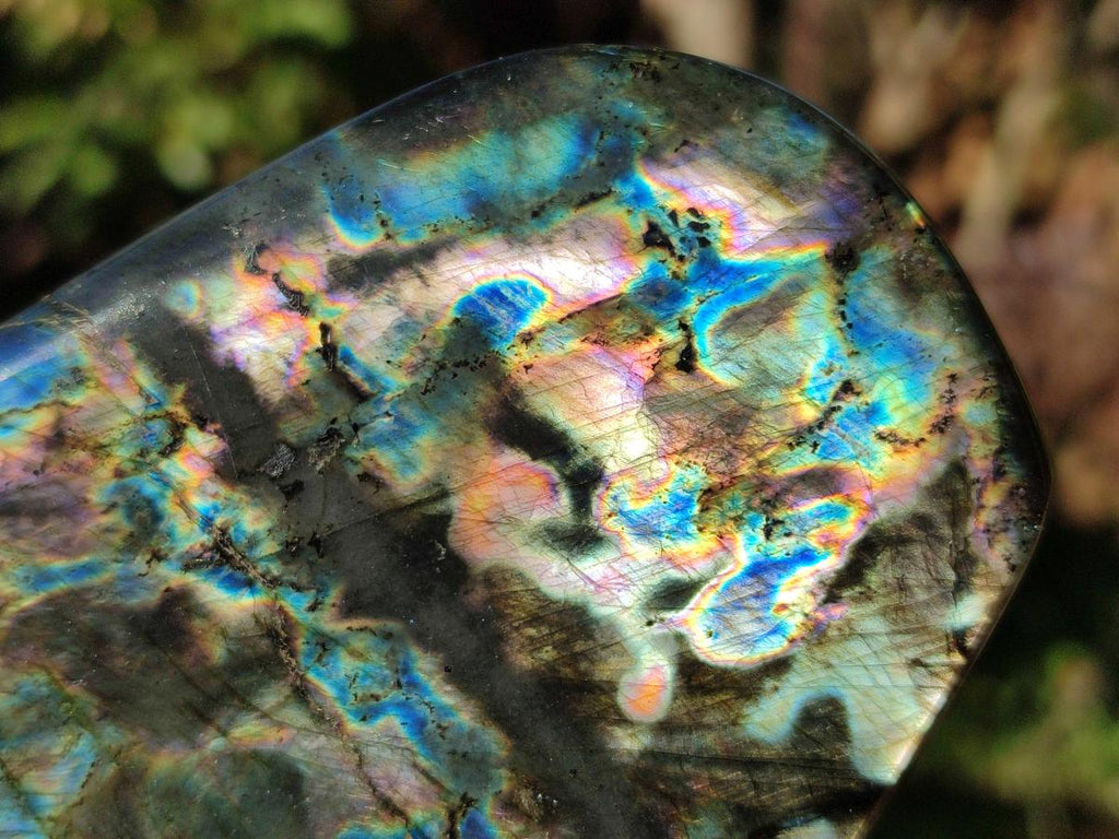 Polished Labradorite Standing Display Pieces x 3 From Madagascar - Toprock Gemstones and Minerals 