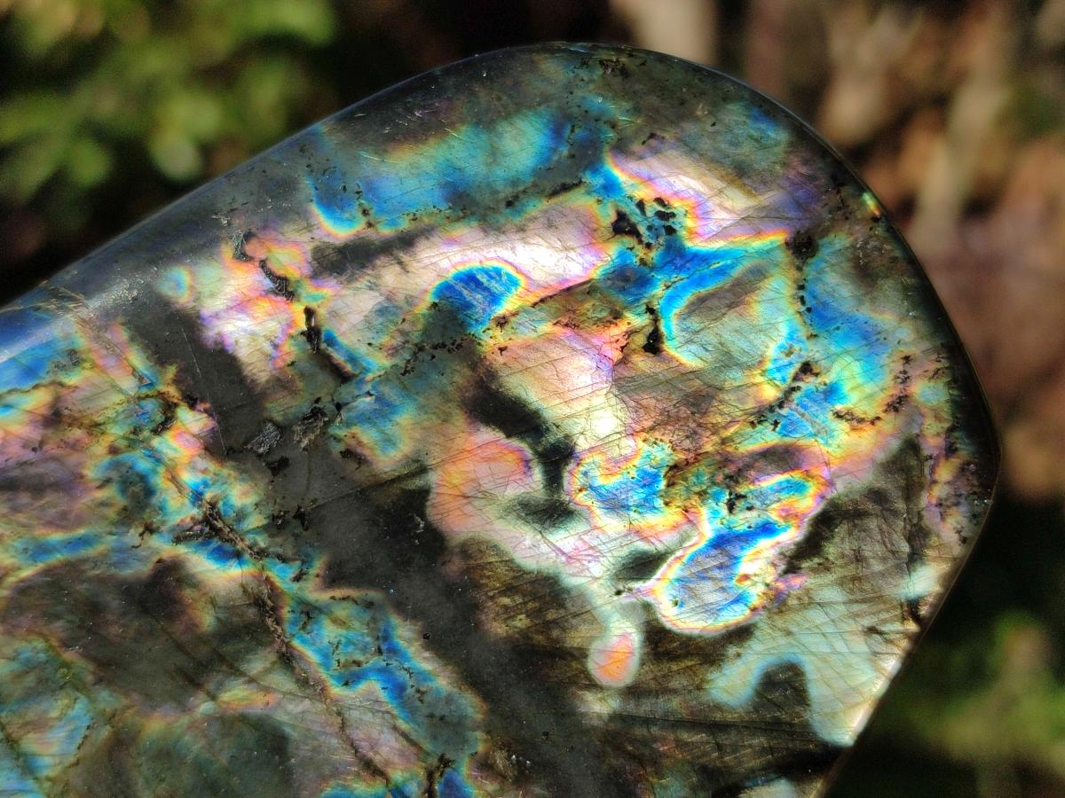 Polished Labradorite Standing Display Pieces x 3 From Madagascar - Toprock Gemstones and Minerals 