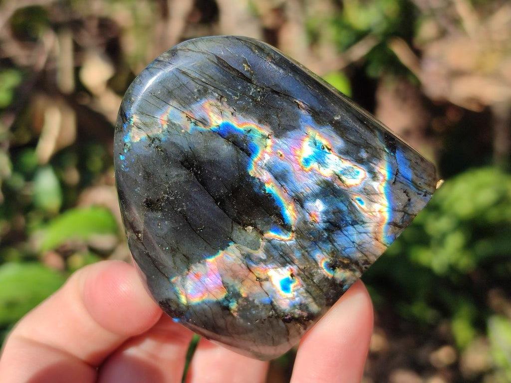 Polished Labradorite Standing Display Pieces x 3 From Madagascar - Toprock Gemstones and Minerals 