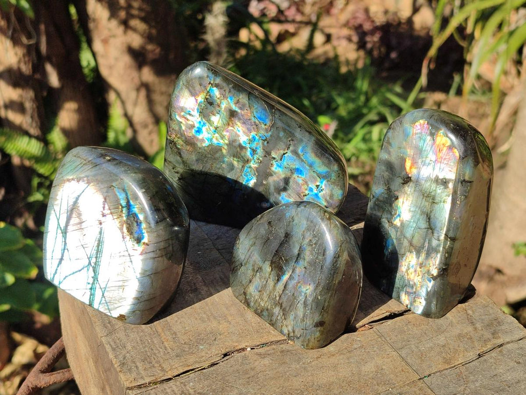 Polished Labradorite Standing Display Pieces x 3 From Madagascar - Toprock Gemstones and Minerals 