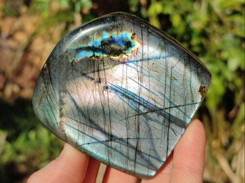 Polished Labradorite Standing Display Pieces x 3 From Madagascar - Toprock Gemstones and Minerals 