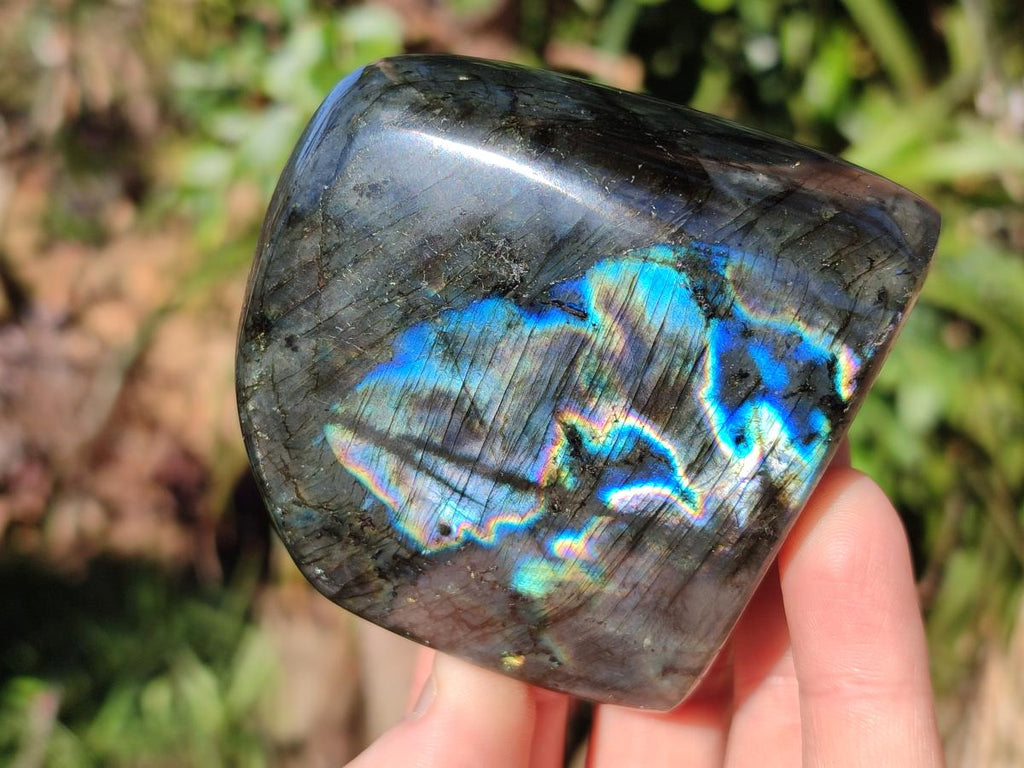Polished Labradorite Standing Display Pieces x 3 From Madagascar - Toprock Gemstones and Minerals 