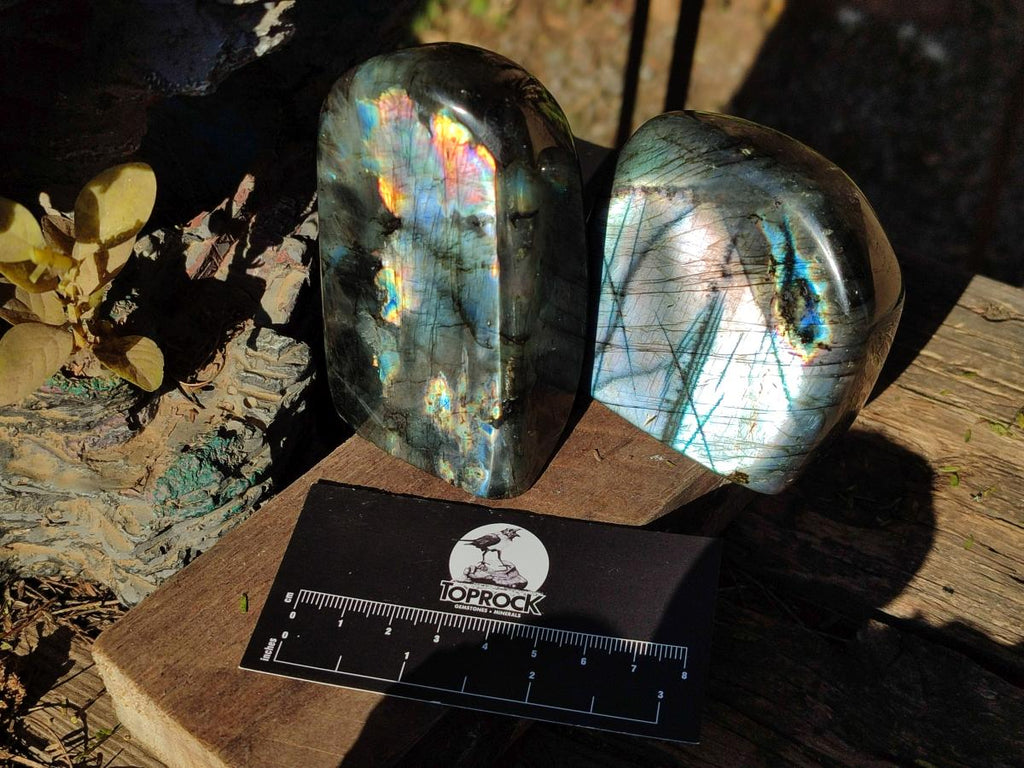 Polished Labradorite Standing Display Pieces x 3 From Madagascar - Toprock Gemstones and Minerals 