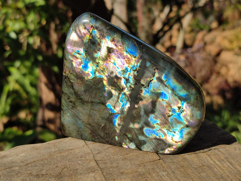 Polished Labradorite Standing Display Pieces x 3 From Madagascar - Toprock Gemstones and Minerals 