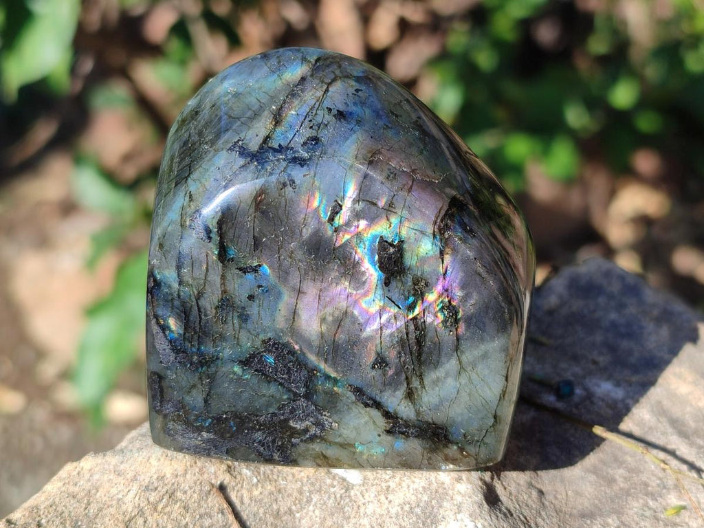 Polished Labradorite Standing Display Pieces x 3 From Madagascar - Toprock Gemstones and Minerals 