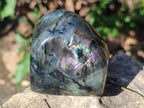 Polished Labradorite Standing Display Pieces x 3 From Madagascar - Toprock Gemstones and Minerals 