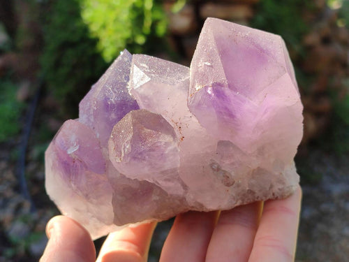 Natural Jacaranda Amethyst Clusters x 2 From Mumbwa, Zambia - Toprock Gemstones and Minerals 
