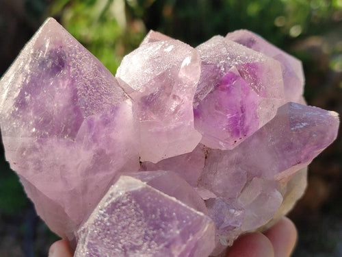 Natural Jacaranda Amethyst Clusters x 2 From Mumbwa, Zambia - Toprock Gemstones and Minerals 