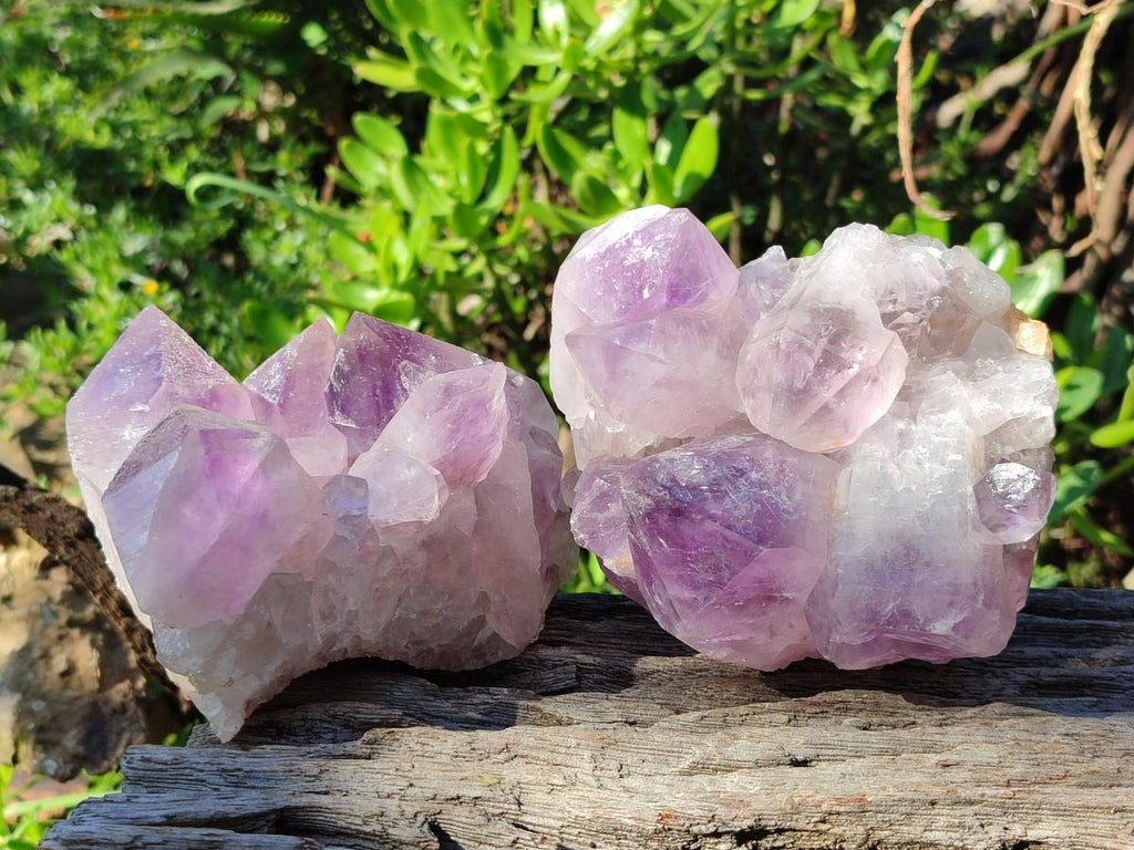 Natural Jacaranda Amethyst Clusters x 2 From Mumbwa, Zambia - Toprock Gemstones and Minerals 
