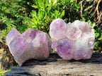 Natural Jacaranda Amethyst Clusters x 2 From Mumbwa, Zambia - Toprock Gemstones and Minerals 