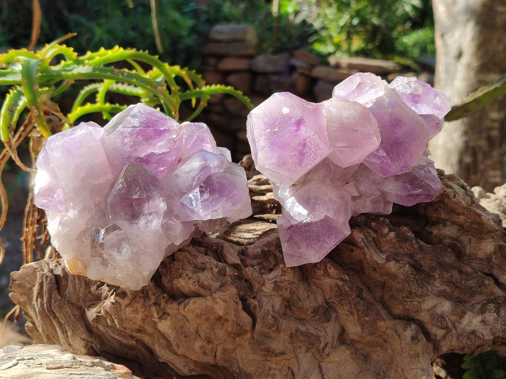 Natural Jacaranda Amethyst Clusters x 2 From Mumbwa, Zambia - Toprock Gemstones and Minerals 