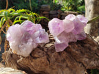 Natural Jacaranda Amethyst Clusters x 2 From Mumbwa, Zambia - Toprock Gemstones and Minerals 