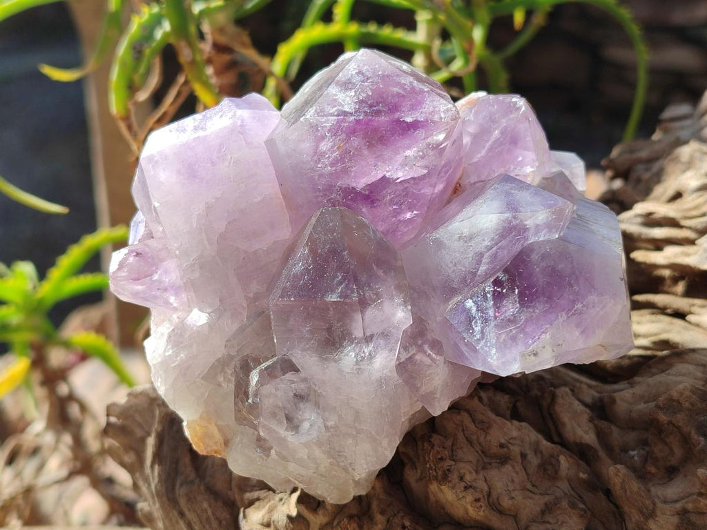 Natural Jacaranda Amethyst Clusters x 2 From Mumbwa, Zambia - Toprock Gemstones and Minerals 