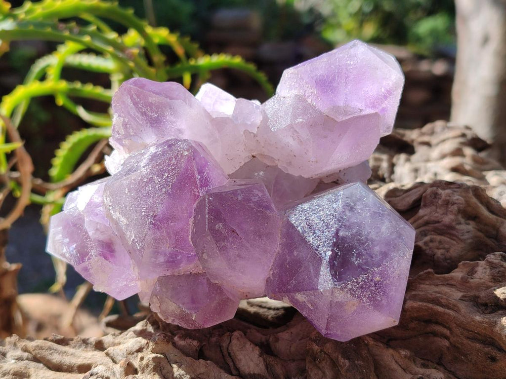 Natural Jacaranda Amethyst Clusters x 2 From Mumbwa, Zambia - Toprock Gemstones and Minerals 