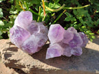 Natural Jacaranda Amethyst Clusters x 2 From Mumbwa, Zambia - Toprock Gemstones and Minerals 