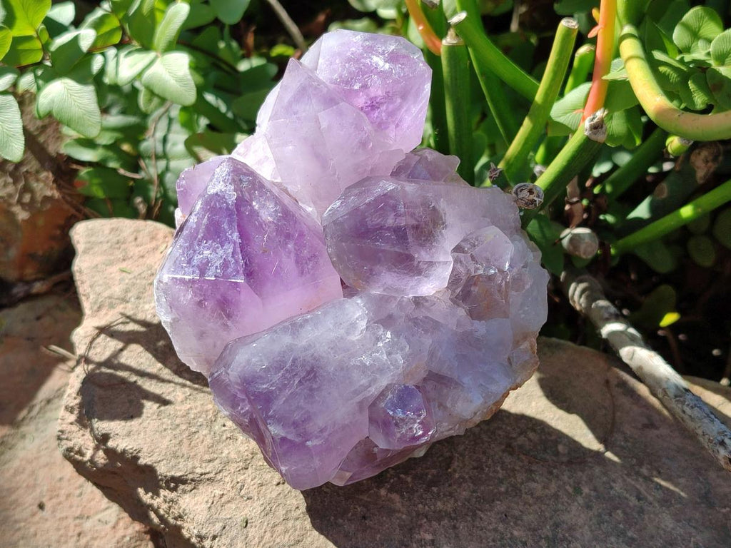 Natural Jacaranda Amethyst Clusters x 2 From Mumbwa, Zambia - Toprock Gemstones and Minerals 