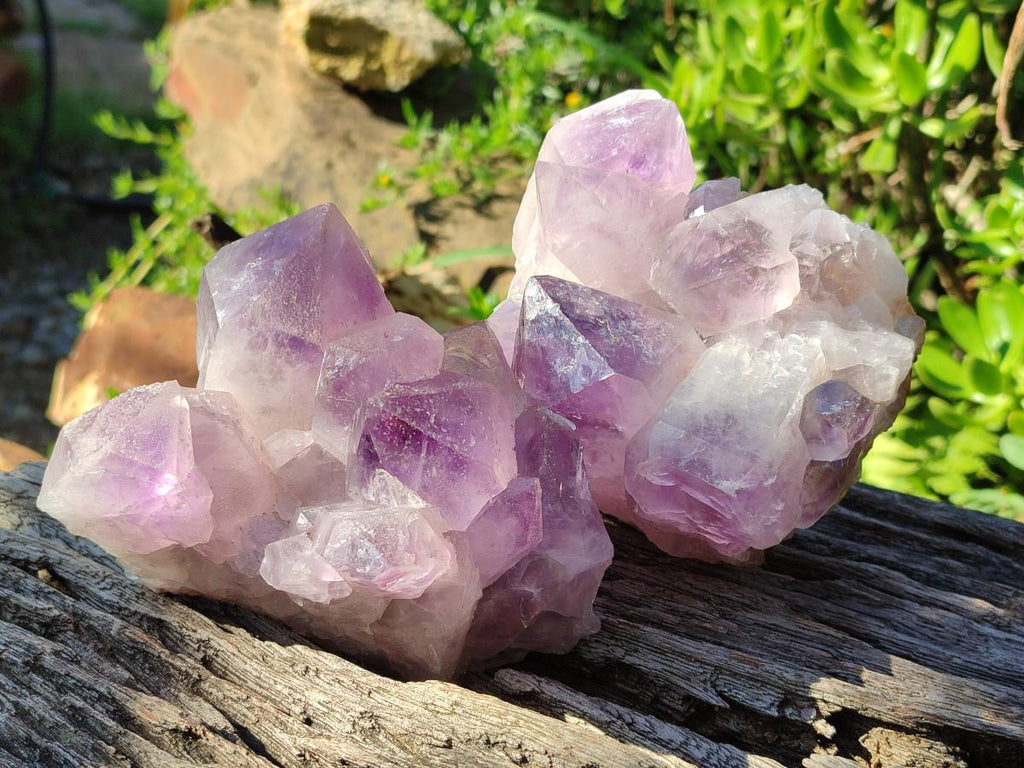 Natural Jacaranda Amethyst Clusters x 2 From Mumbwa, Zambia - Toprock Gemstones and Minerals 