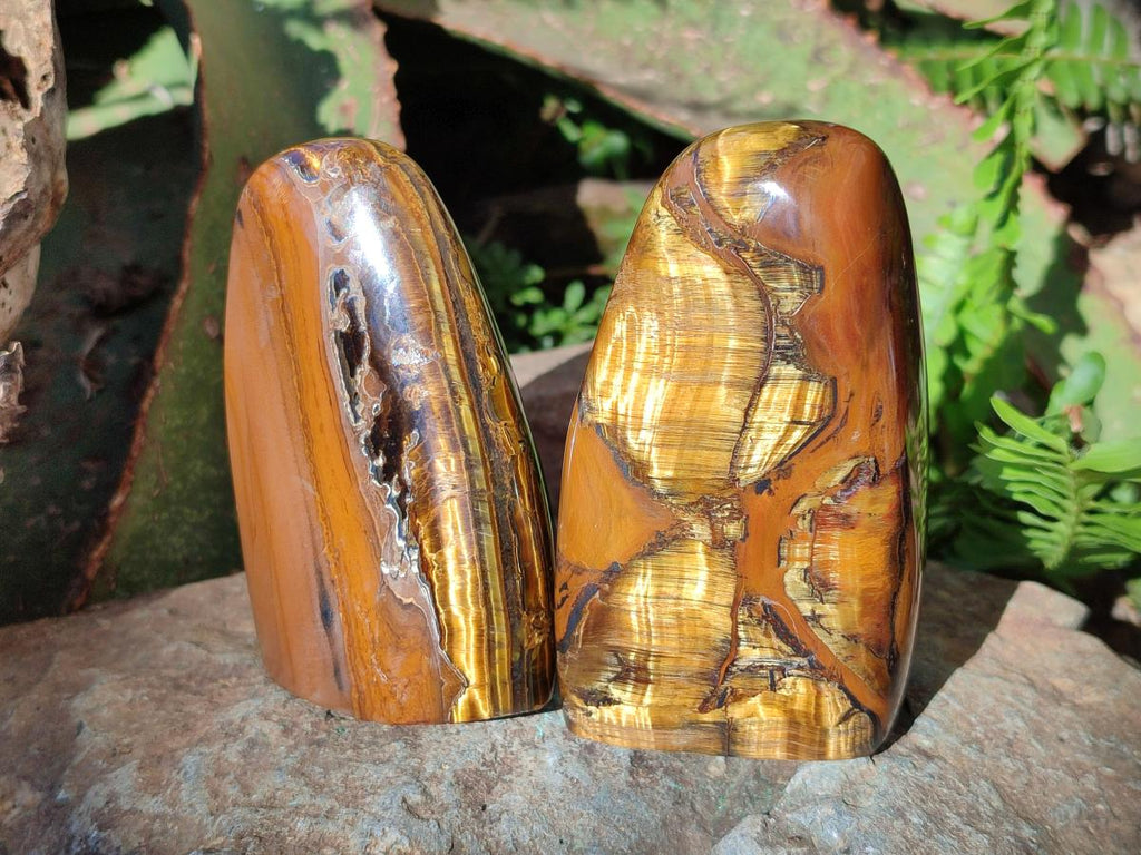 Polished Golden Tigers Eye Standing Display Pieces x 4 From Prieska, South Africa - Toprock Gemstones and Minerals 