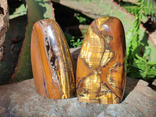 Polished Golden Tigers Eye Standing Display Pieces x 4 From Prieska, South Africa - Toprock Gemstones and Minerals 