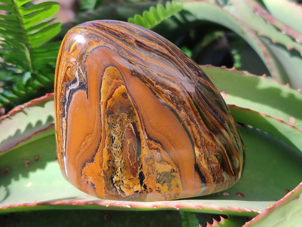 Polished Golden Tigers Eye Standing Display Pieces x 4 From Prieska, South Africa - Toprock Gemstones and Minerals 
