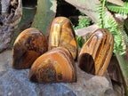 Polished Golden Tigers Eye Standing Display Pieces x 4 From Prieska, South Africa - Toprock Gemstones and Minerals 