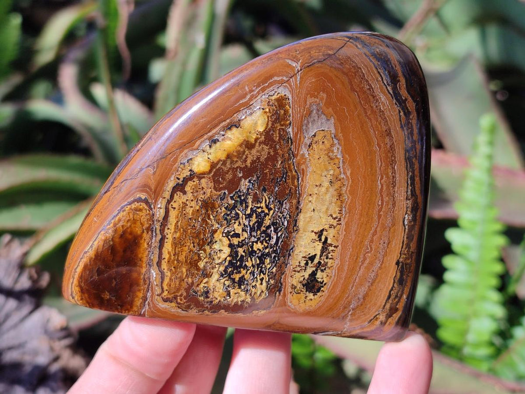 Polished Golden Tigers Eye Standing Display Pieces x 4 From Prieska, South Africa - Toprock Gemstones and Minerals 