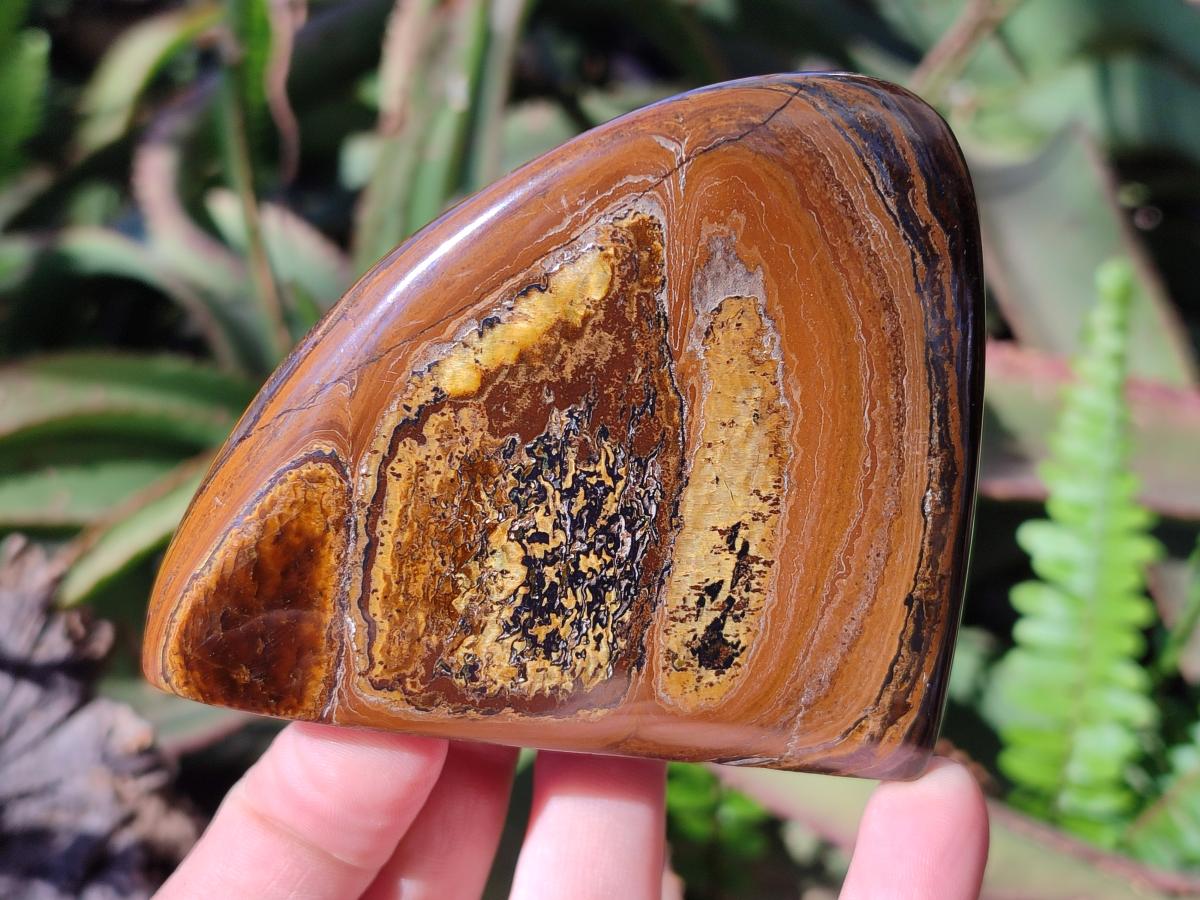 Polished Golden Tigers Eye Standing Display Pieces x 4 From Prieska, South Africa - Toprock Gemstones and Minerals 
