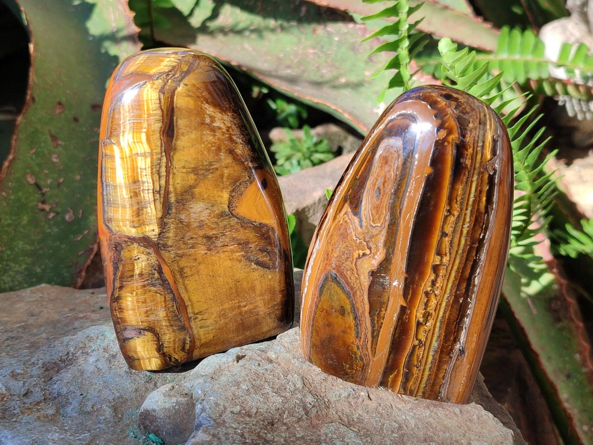 Polished Golden Tigers Eye Standing Display Pieces x 4 From Prieska, South Africa - Toprock Gemstones and Minerals 