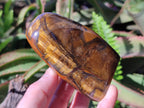 Polished Golden Tigers Eye Standing Display Pieces x 4 From Prieska, South Africa - Toprock Gemstones and Minerals 