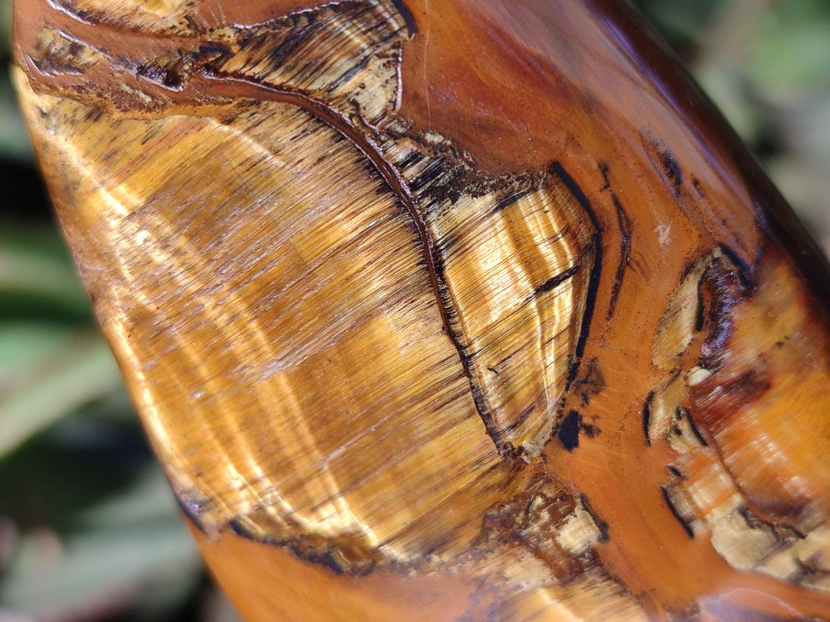 Polished Golden Tigers Eye Standing Display Pieces x 4 From Prieska, South Africa - Toprock Gemstones and Minerals 