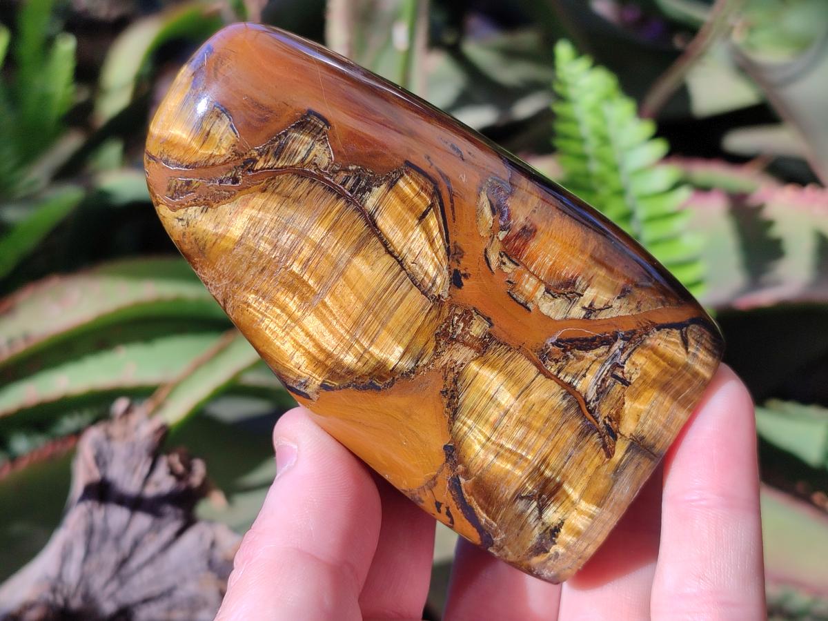 Polished Golden Tigers Eye Standing Display Pieces x 4 From Prieska, South Africa - Toprock Gemstones and Minerals 
