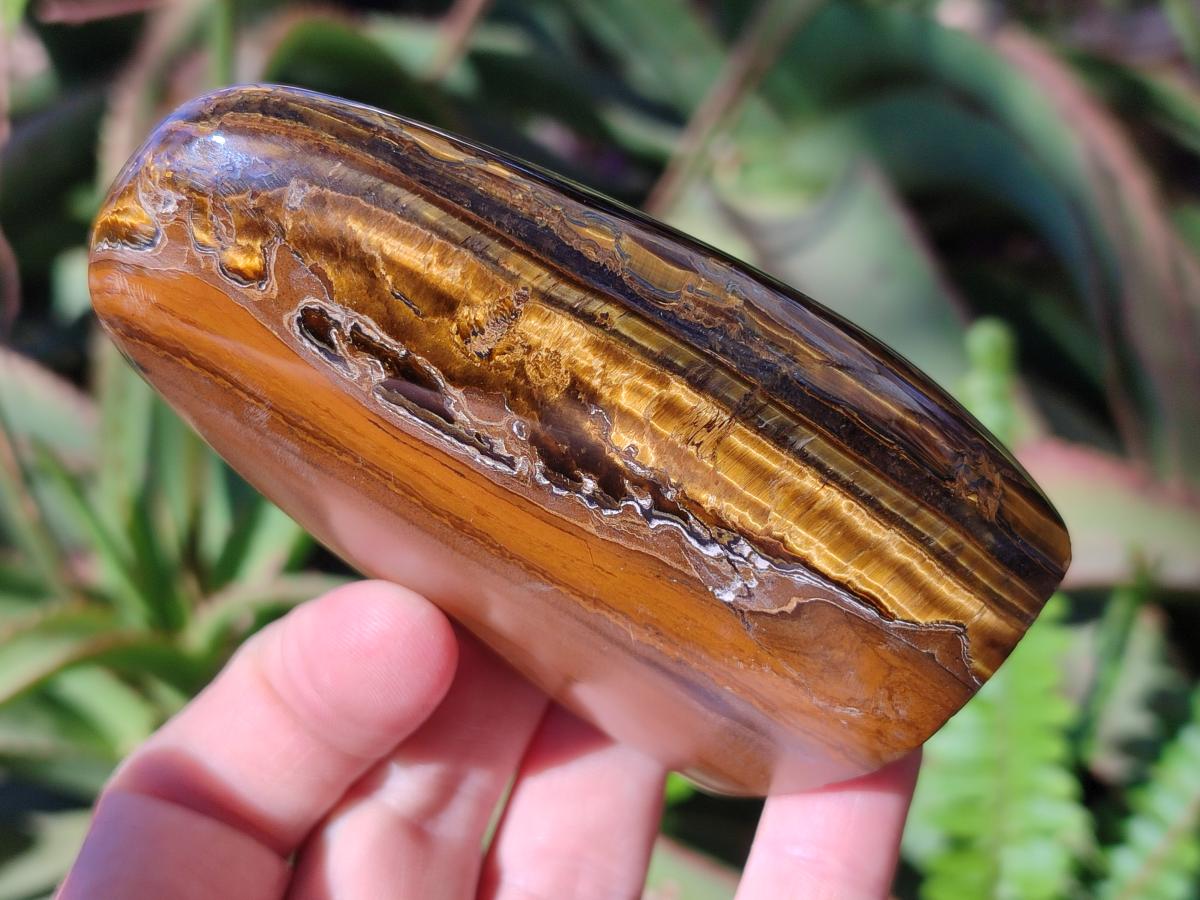 Polished Golden Tigers Eye Standing Display Pieces x 4 From Prieska, South Africa - Toprock Gemstones and Minerals 