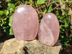 Polished Gemmy Rose Quartz Standing Display Pieces x 2 From Madagascar - Toprock Gemstones and Minerals 