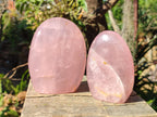 Polished Gemmy Rose Quartz Standing Display Pieces x 2 From Madagascar - Toprock Gemstones and Minerals 